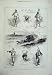 1875 War Spain San Sebastian Horse Waggon Army Musket