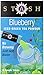 Stash Powdered Green Iced Tea Blueberry 0.7 oz 10 Count Powdered Green Tea Packets for Instant Iced Tea, Mixes Easily into Bottled Water or Tap Water, 10 Calories per Serving