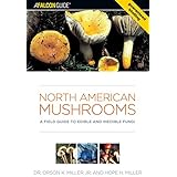 north american mushrooms a field guide to edible and inedible fungi falconguide