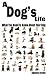 A Dog's Life: What You Need to Know About Your Dog at Amazon Books: 51yS0ernEzL._SL75_