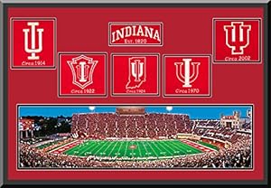 Indiana Bankers Life Fieldhouse Panoramic Double Matted With Indiana Wool Felt Logos-Framed With 1/12 Inch Black Leather Frame-Must For A Championship Team Fan! Most Teams Available-Please Go Through Description & Mention In Gift Message If Need A different Team