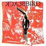 Blackbird