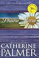 Prairie Storm:  Town Called Hope #3 (Heartquest)