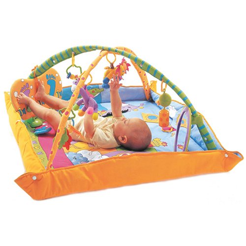 Childrens Toyshop  Toys : Tiny Love Gymini Total Playground