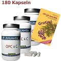 Amlawell OPC & C / 180 Kapseln a 700mg / ORAC 10.000 / 6-Monats-Packung!