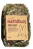 (Boredom Breakers) NATURALS Coneflower (150g)