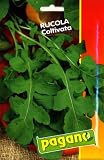 Pagano 1420 Arugula (Rucola) Cultivated Seed Packet