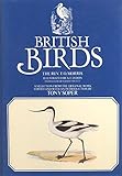 British birds