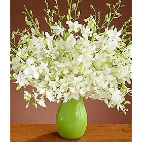 Flowers - Deluxe White Dendrobium Orchids Bouquet with Vase by 