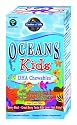 Garden of Life Oceans 3 - Omega 3 for kids- Box