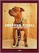 AMERICAN PITBULL: PHOTOGRAPHS BY MARC JOSEPH - SIGNED BY THE PHOTOGRAPHER