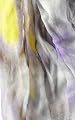 Limited Edition Printed Scarf