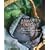 Grower's Market: Cooking with Seasonal Produce