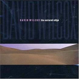 David Wilcox Picture 3