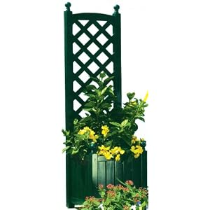 DMC Products Lexington 16-Inch Square Solid Wood Trellis Planter, Hunter Green by 