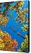 Changing Colors Canvas Print / Canvas Art - Artist Ryan Heffron