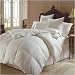 51yT5j1q5qL. SL75  300 Thread Count White Down Comforter   Queen Size