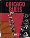 Search : Chicago Bulls