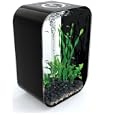 Biorb Life 60 Aquarium, 16 Gallons, Piano Black By Biorb