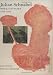Books : Julian Schnabel: Works on Paper 1976-1992
