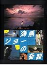 映画チラシ　「海燕ジョーの奇跡」監督　藤田敏八　出演　時任三郎、藤谷美和子、原田芳雄 藤田敏八
