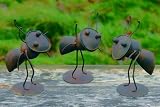 Ameise Gartentier ANT auf Ständer Eisen 3er Set 16 cm