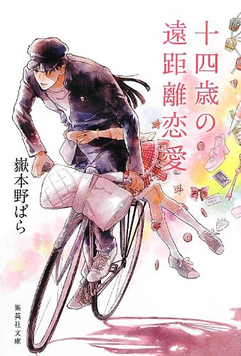 十四歳の遠距離恋愛 (集英社文庫)
