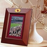 Arizona Cardinals Brown Vertical Picture Frame
