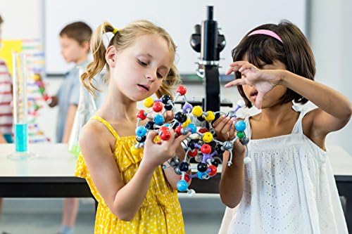 Molecular Model Kit - Transparent Box with FREE Summary of Organic Reactions, The Best Organic 50 Atoms &amp; 90 Bonds - Perfect for Student and Teachers!
