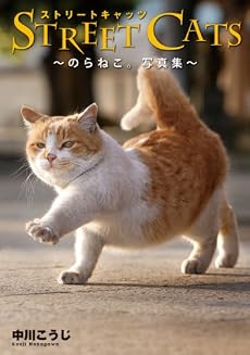 STREET CATS -のらねこ。写真集-
