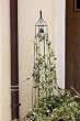 Trellis with Bell