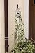 Trellis with Bell