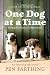 One Dog at a Time: Saving the Strays of Afghanistan