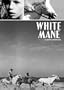 White Mane (The Criterion Collection)
