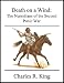 Death on a Wind: The Numidians of the Second Punic War