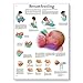 3B Scientific VR1557L Glossy Laminated Paper Breastfeeding Anatomical Chart, Poster Size 20