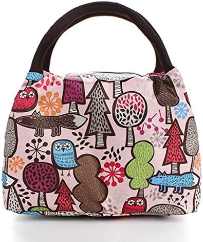 Airstomi Waterproof Picnic Lunch Bag Case Tote Reusable lunch Bags For Women