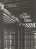 The open sea : Andrew Sabin