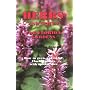 Herbs and Spices for Florida Gardens: How to Grow &hellip by Monica Moran Brandies