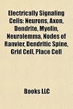 Electrically Signaling Cells: Neurons, Axon, Dendrite, Myelin, Neurolemma, Nodes of Ranvier, Dendritic Spine, Grid Cell, Place Cell