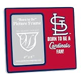 MLB St. Louis Cardinals Youth Frame