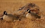 Avery Power Hunter Duck Blind