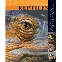 Reptiles