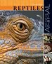 Reptiles