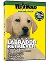 Labrador Retriever DVD + Dog & Puppy Training Bonus