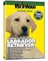 Labrador Retriever DVD + Dog & Puppy Training Bonus