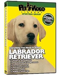 Labrador Retriever DVD + Dog & Puppy Training Bonus