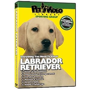 Labrador Retriever DVD + Dog & Puppy Training Bonus