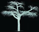 Giant 17 Foot Commercial Acrylic LED Christmas Tree - 17,000 White LED Lights