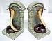 Realistic King Cobra Bookends Book Ends Snake